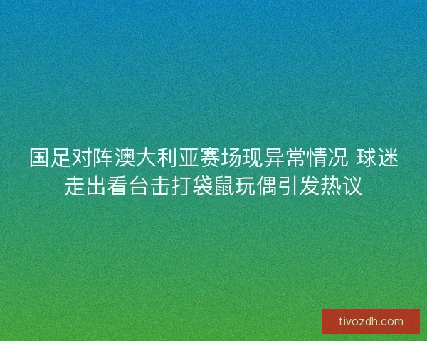 国足对阵澳大利亚赛场现异常情况 球迷走出看台击打袋鼠玩偶引发热议